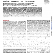Cooperation between T cell receptor and Toll-like receptor 5 signaling for CD4+ T cell activation