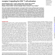 Cooperation between T cell receptor and Toll-like receptor 5 signaling for CD4+  T cell activation